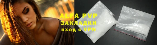 прущие грибы Гусев