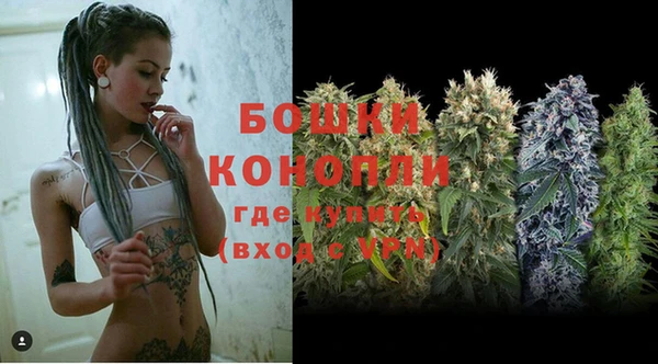 ГАЛЛЮЦИНОГЕННЫЕ ГРИБЫ Абдулино
