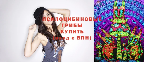 шишки Алзамай
