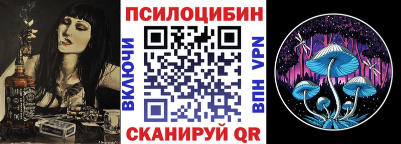Псилоцибиновые грибы мухоморы  мориарти как зайти  Новопавловск 